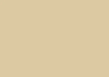 0081 Alpaca