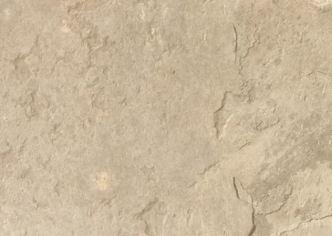 0496 Colosseum