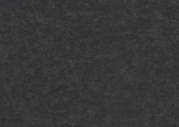 0799 Black Jack