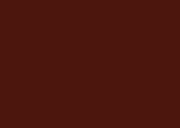 0875 Chocolate Brownie