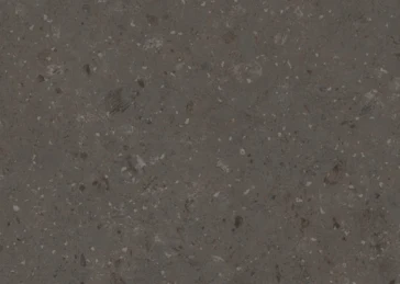 0902 Black Stingray Limestone